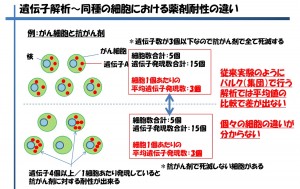 薬剤耐性の違い単純図