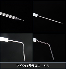 Micro glass needle